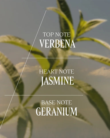 Verbena Refreshing Hair & Body Mist