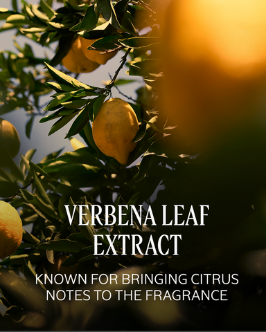 Citrus Verbena Perfumed Shower Gel Refill