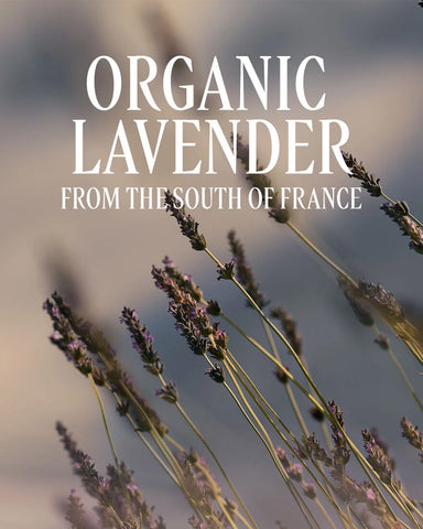 Lavande (Lavender) Bubble Bath