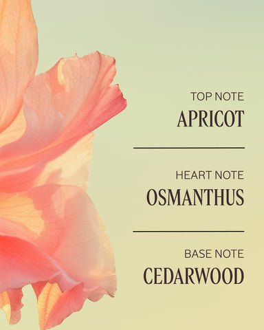 Osmanthus Abricot Perfumed Hand Cream