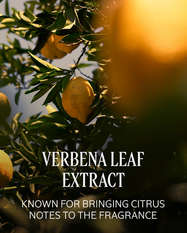 Citrus Verbena Eau de Toilette