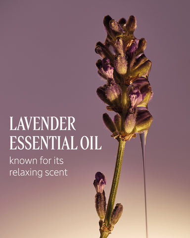 Le Savon Lavender Liquid Hand Soap Refill