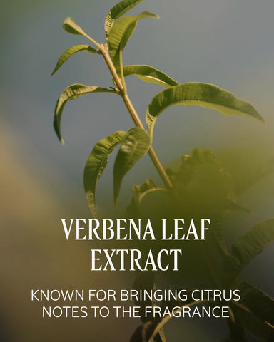 Verbena Roll-On Eau de Toilette
