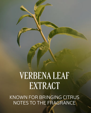 Verbena Perfumed Hand Cream