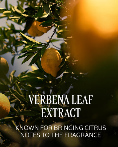 Citrus Verbena Perfumed Body Lotion