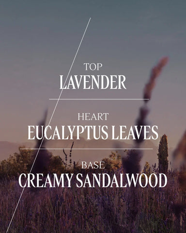 Lavande (Lavender) Bubble Bath