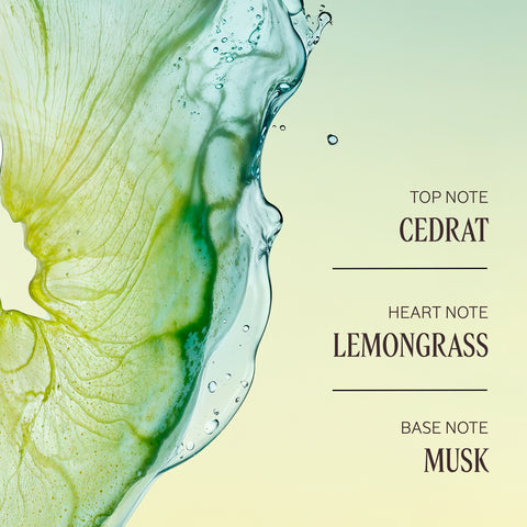 Cédrat Stick Deodorant