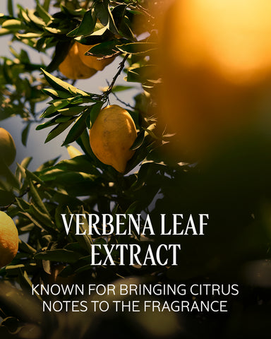 Citrus Verbena Perfumed Shower Gel