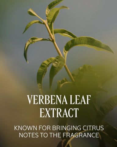Verbena Eau de Toilette