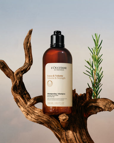Volume & Strength Shampoo Refill