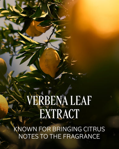 Citrus Verbena Perfumed Hand Cream