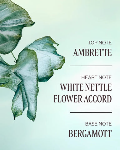 Ortie Blanche (Formerly Herbae) Perfumed Body Lotion