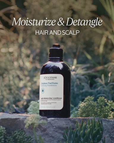 Purifying Freshness Conditioner Refill
