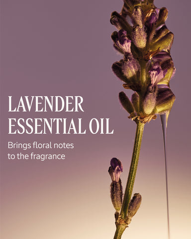 Le Savon Lavender Extra-Gentle Body Soap