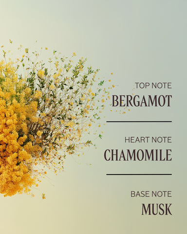 Barbotine Perfumed Body Lotion