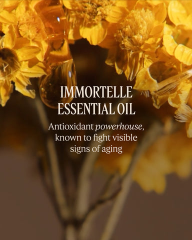 Immortelle Harmonie Cream