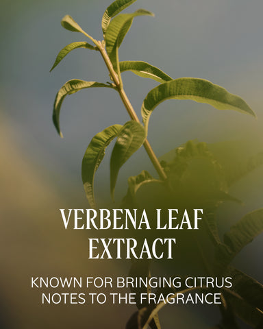 Verbena Perfumed Shower Gel Refill